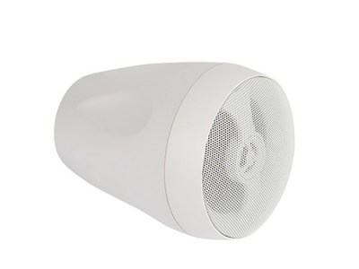 CVGaudio CS416TW Подвесная двухполосная акустическая система