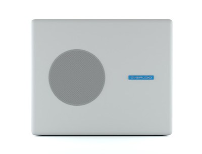 CVGaudio SUBone model B-8W/CR