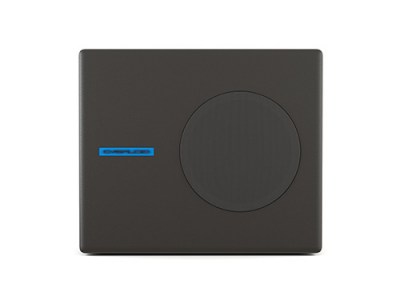 CVGaudio SUBone model A-6BL/CR