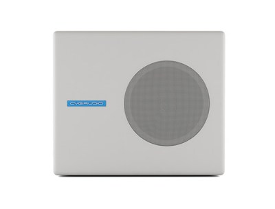 CVGaudio SUBone model A-6W/CR