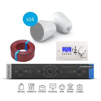 CVGaudio T-LITE COMPLEX/W/400 Комплект звукового оборудования с управлением громкостью и источниками сигнала