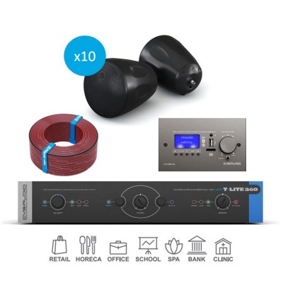 CVGaudio T-LITE COMPLEX/BL/250 Комплект звукового оборудования с управлением громкостью и источниками сигнала