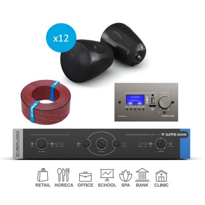 CVGaudio T-LITE COMPLEX/BL/300 Комплект звукового оборудования с управлением громкостью и источниками сигнала