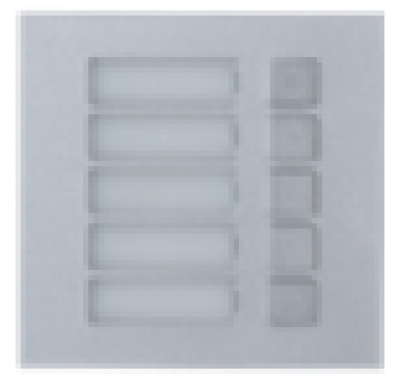 Dahua DHI-VTO4202F-MB5