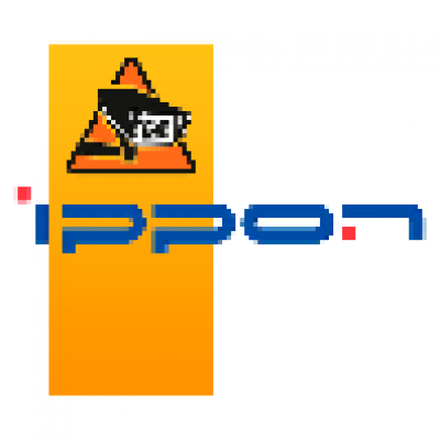 Дополнительный батарейный модуль для Ippon Innova RT II 10000 (1075710)