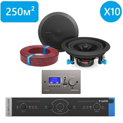 CVGaudio T-LITE FOCUS/BL/XL 250 Комплект звукового оборудования с управлением громкостью и источниками сигнала