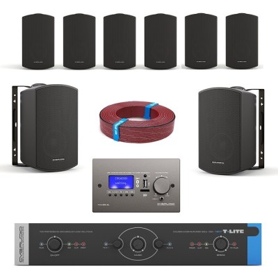 CVGaudio T-LITE VECTOR/BL/XL Комплект звукового оборудования с управлением громкостью и источниками сигнала